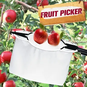 Culegător De Fructe De Veghe Copac Mare Cules De Fructe De Recoltare Instrument De Grădinărit